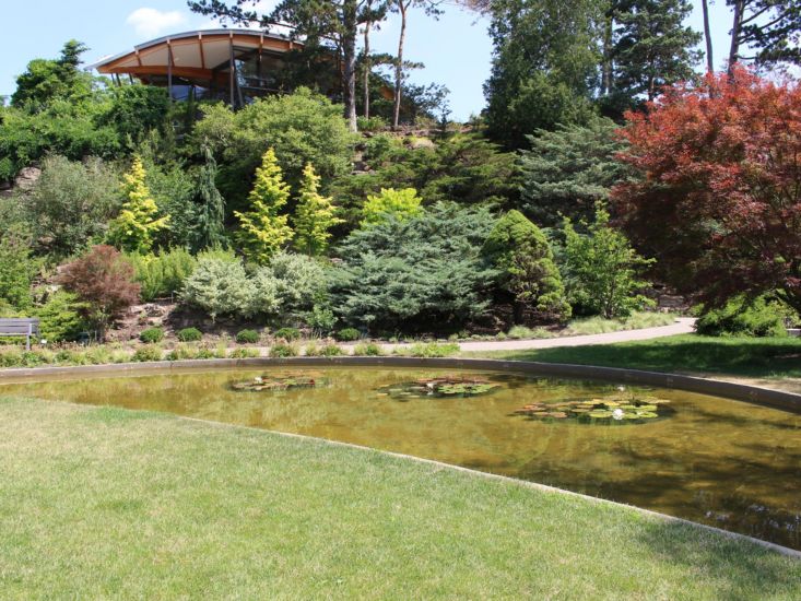 Holiday Inn Burlington Hotel & Conference Center in Stowe Mountain Resort