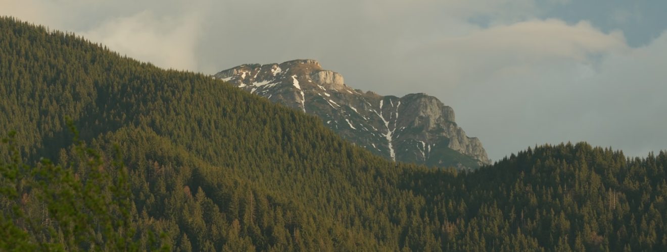 Peak Winter at Stowe Mountain - Stowe Mountain Resort