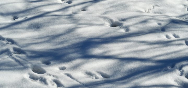 Snow Days at Stowe - Stowe Mountain Resort