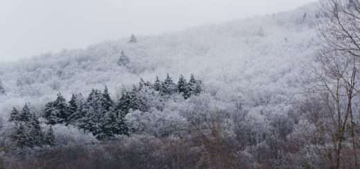 The Perfect Pennsylvania Mountain for Families - Seven Springs