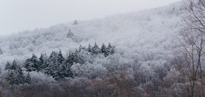 The Perfect Pennsylvania Mountain for Families - Seven Springs