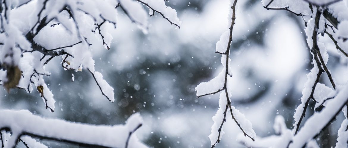 Does Seven Springs have snow in March?