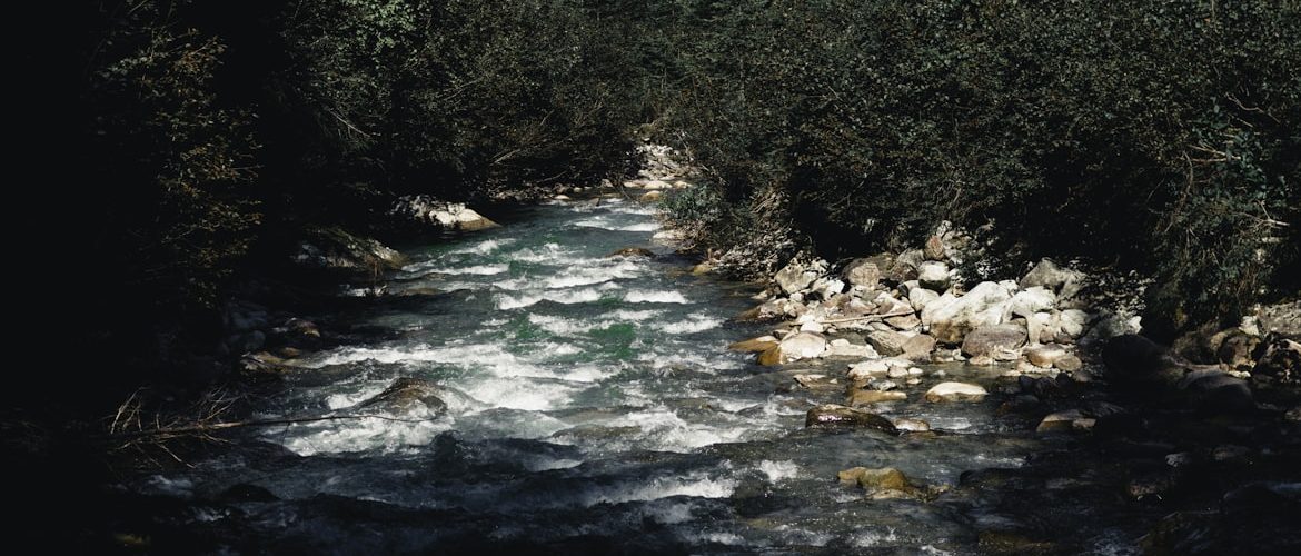 What happened to Seven Springs?