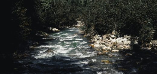 What happened to Seven Springs?